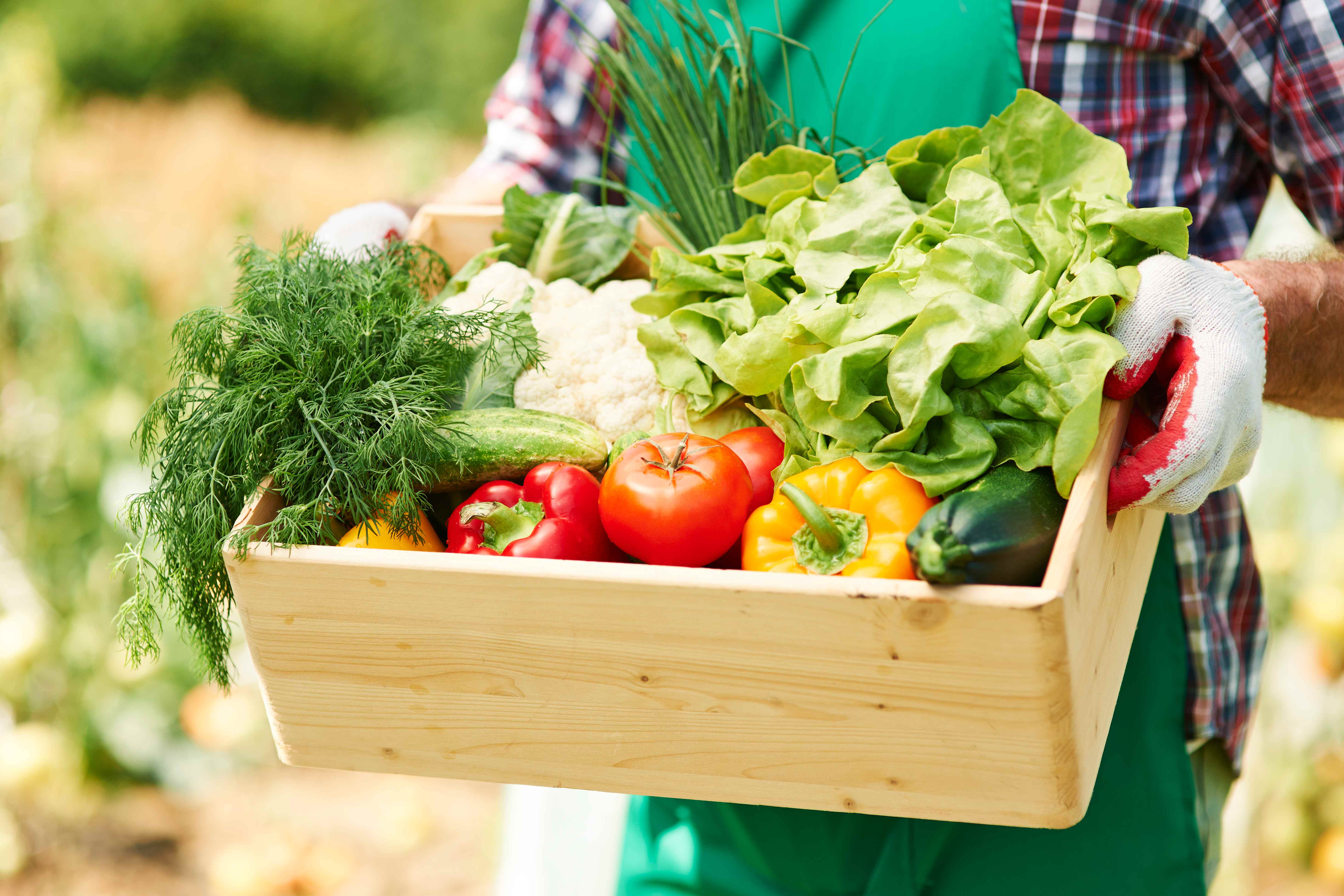 Fresh Mixed Vegetables Box